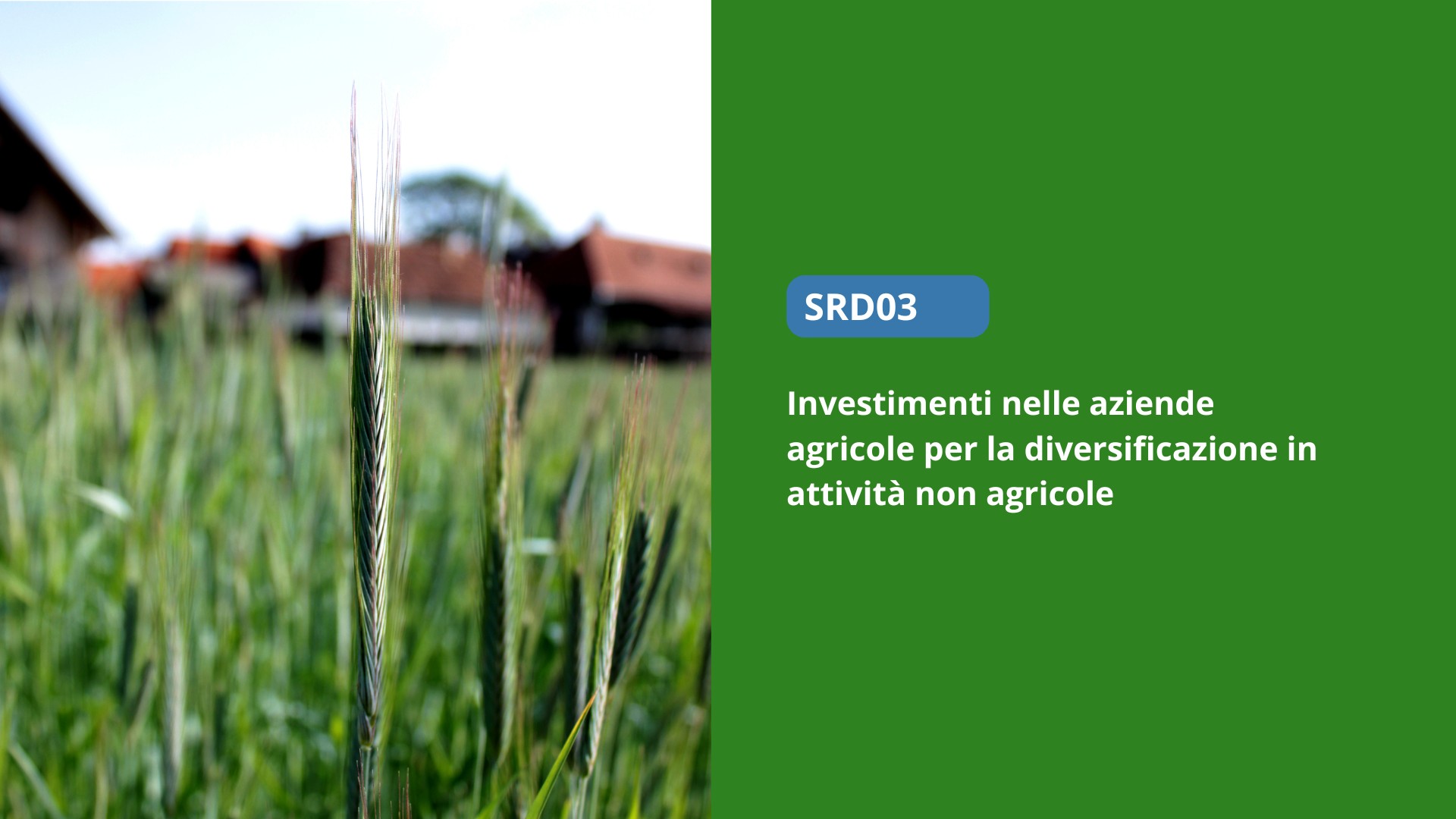 Investimenti nelle aziende agricole per la diversificazione in attività non agricole